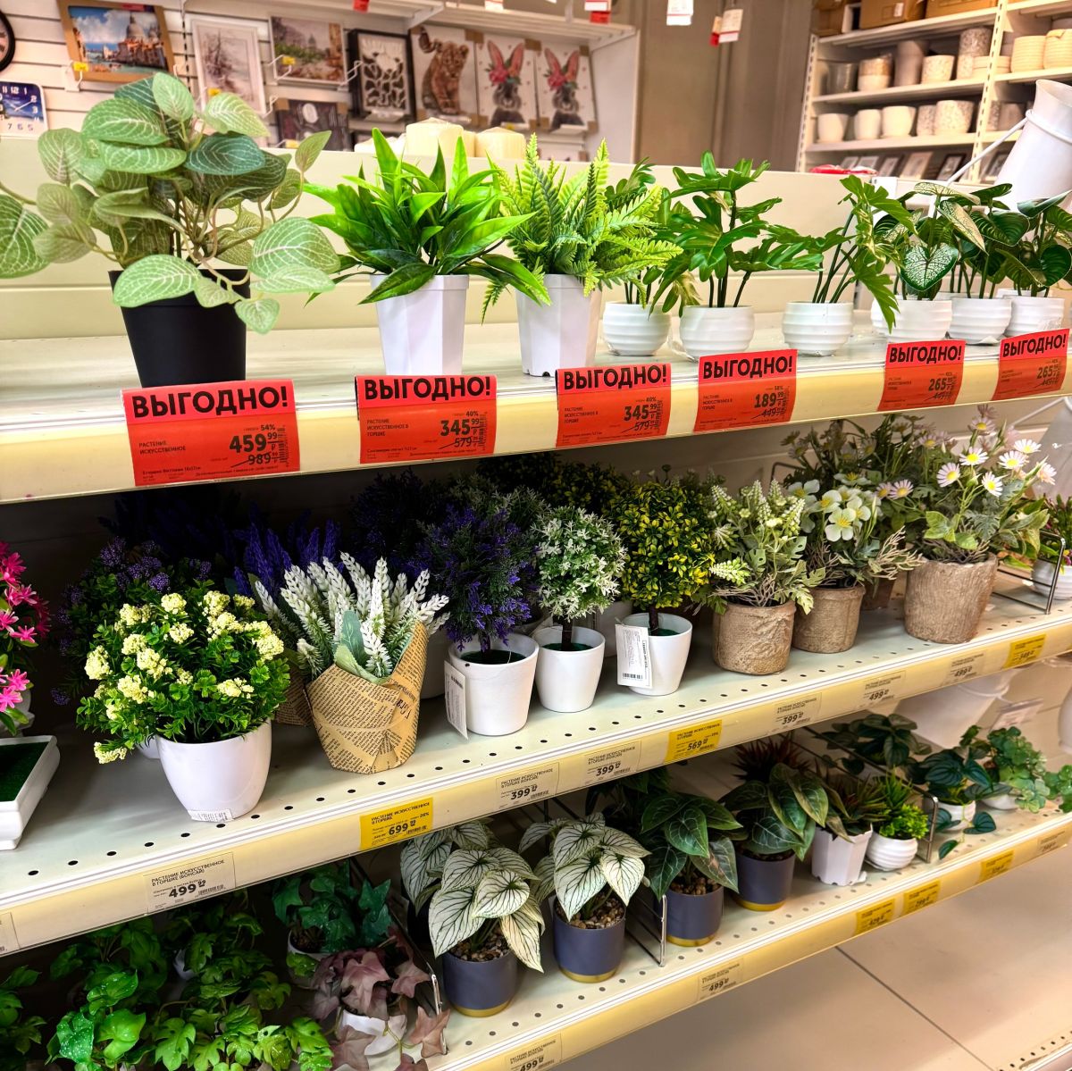 {name}